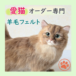 羊毛フェルト ネコ うちの子 オーダー専門◇愛猫の宝箱◇ペット リアル