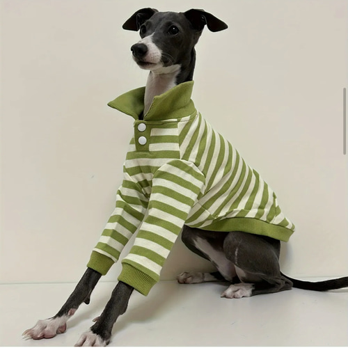 イタグレ ウィペット イタリアングレーハウンド 犬服 犬 ペットウェア