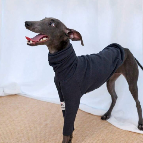イタグレ ウィペット イタリアングレーハウンド 犬服 犬 ペットウェア
