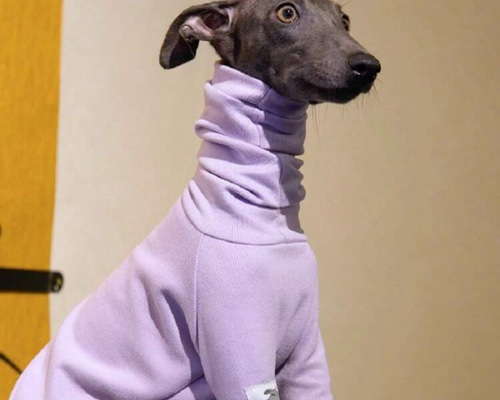 0aa3bd1d178ea8f685e8ef9c01721c