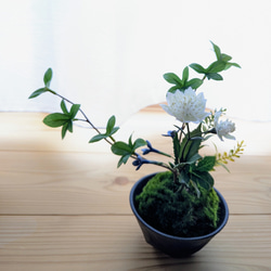 盆栽 造花 のおすすめ人気通販 検索結果｜Creema(クリーマ