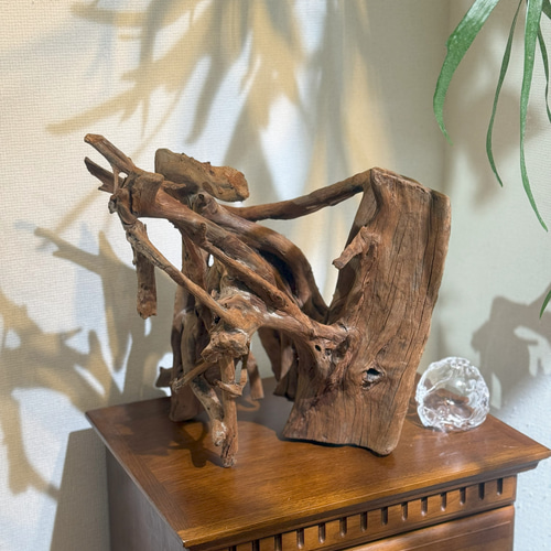 amenote・マングローブ流木「木漏れ日02」｜ヴィンテージ｜希少