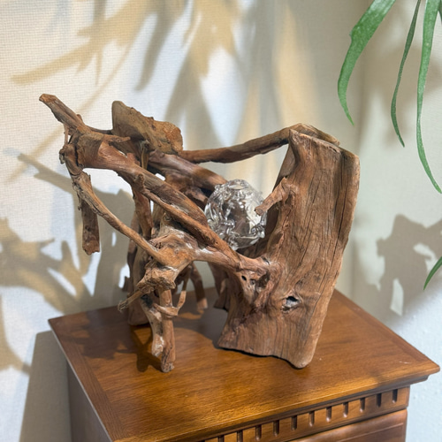 amenote・マングローブ流木「木漏れ日02」｜ヴィンテージ｜希少