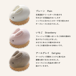 うさもっち MOTCH うさぎ チーズケーキ チーズムース おもち 餅 和洋菓子 クリスマス 御歳暮 お歳暮 ハロウィン 5枚目の画像