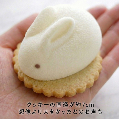 うさもっち 6個入り】 MOTCH うさぎ チーズケーキ おもち 餅 内祝 出産