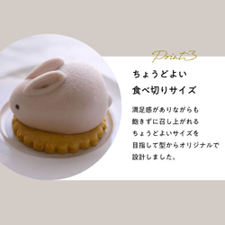 うさもっち MOTCH うさぎ チーズケーキ チーズムース おもち 餅 和洋菓子 クリスマス 御歳暮 お歳暮 ハロウィン 12枚目の画像