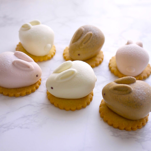 うさもっち MOTCH うさぎ チーズケーキ チーズムース おもち 餅 和洋菓子 クリスマス 御歳暮 お歳暮 ハロウィン 6枚目の画像