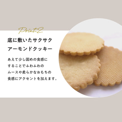 うさもっち MOTCH うさぎ チーズケーキ チーズムース おもち 餅 和洋菓子 クリスマス 御歳暮 お歳暮 ハロウィン 11枚目の画像