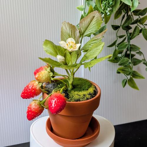イチゴのテラコッタ鉢植え アートフラワー アトリエ snow drop 通販