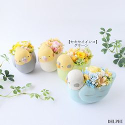 セキセイインコ（グリーン）のアレンジメント【プリザーブドフラワー