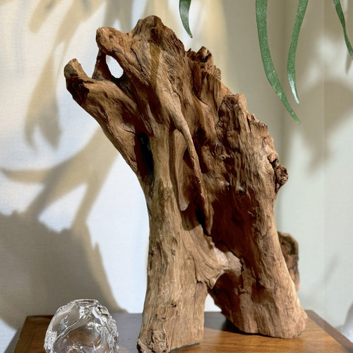 amenote・マングローブ流木「木漏れ日03」｜ヴィンテージ｜希少