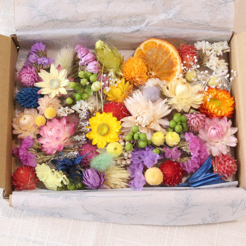 ドライフラワー 花材 セット 詰め合わせ （カラフルMIX