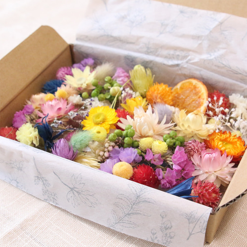 ドライフラワー 花材 詰め合わせ ドライフラワー 花材 セット 詰め合わせ （カラフルMIX