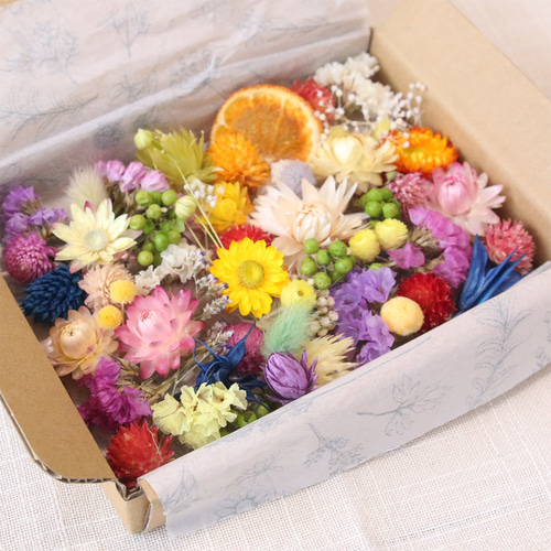 ドライフラワー 花材 セット 詰め合わせ （カラフルMIX） ドライ