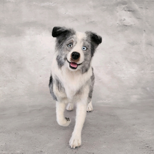 羊毛フェルト　ボーダーコリーおまけ付き 羊毛フェルトのボーダーコリー | 黒柴はな日記