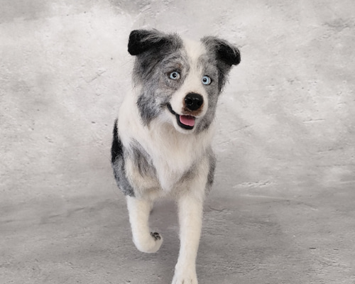 a58c06204dd039c8e9e08e11997906