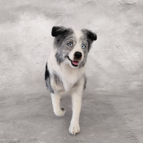 羊毛フェルト ボーダーコリー ボーダーコリーさん 羊毛フェルト 羊毛わんこ 福や工房 通販 19676369