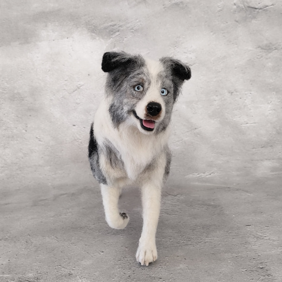 ボーダーコリーさん 羊毛フェルト 羊毛わんこ 福や工房 通販 19676369