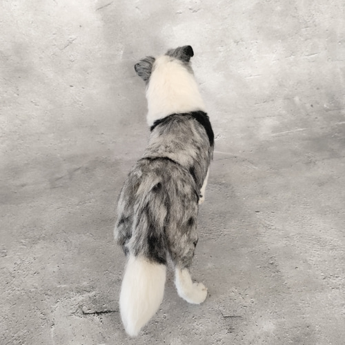 ボーダーコリーさん 羊毛フェルト 羊毛わんこ 福や工房 通販 19676369