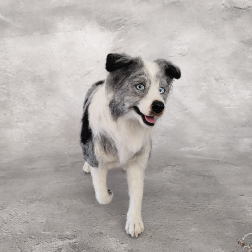 羊毛フェルト　ボーダーコリーおまけ付き ボーダーコリーさん 羊毛フェルト 羊毛わんこ 福や工房 通販 19676369