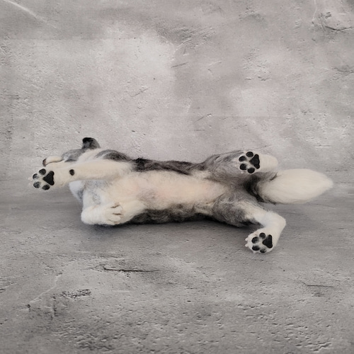 ボーダーコリーさん 羊毛フェルト 羊毛わんこ 福や工房 通販 19676369