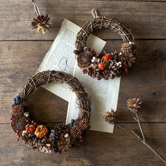 秋~木の実を重ねて ꎺ⠜ 季節の飾り✼ ドライフラワーリース 秋冬