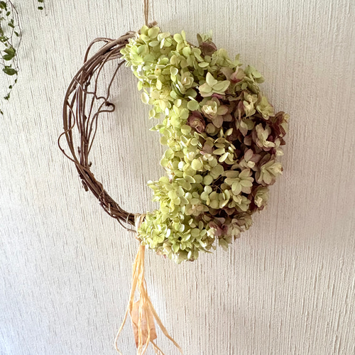 アナベル紫陽花　三日月リース アジサイ ムーンリース 23×27cm ＊ 三日月リース 紫陽花
