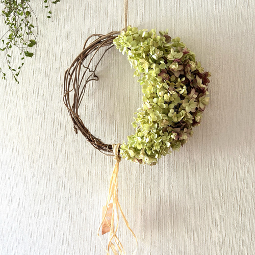 アナベル紫陽花　三日月リース アジサイ ムーンリース 23×27cm ＊ 三日月リース 紫陽花