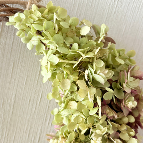 アナベル紫陽花　三日月リース アジサイ ムーンリース 23×27cm ＊ 三日月リース 紫陽花