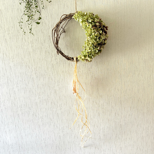 アジサイ ムーンリース 23×27cm ＊ 三日月リース 紫陽花