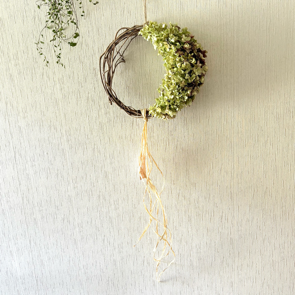 アジサイ ムーンリース 23×27cm ＊ 三日月リース 紫陽花 あじさい