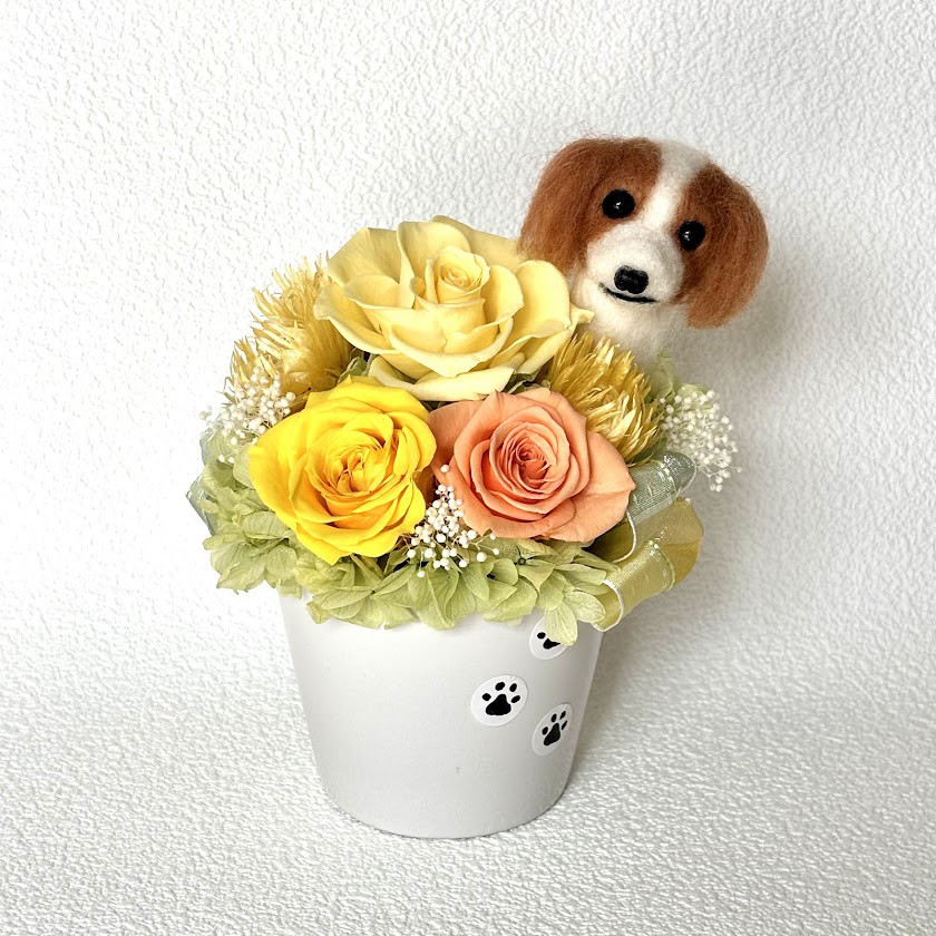 ちょこんと顔出す　キャバリア（右側）＆　プリザーブドフラワー（黄色系）　/　羊毛フェルト　犬　花　プレゼント　米寿祝い