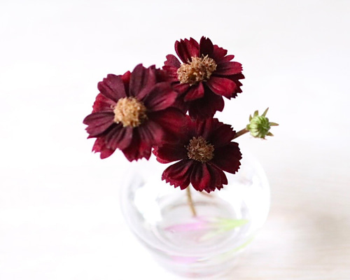 adf6c7897f12e6dde872522a25102a