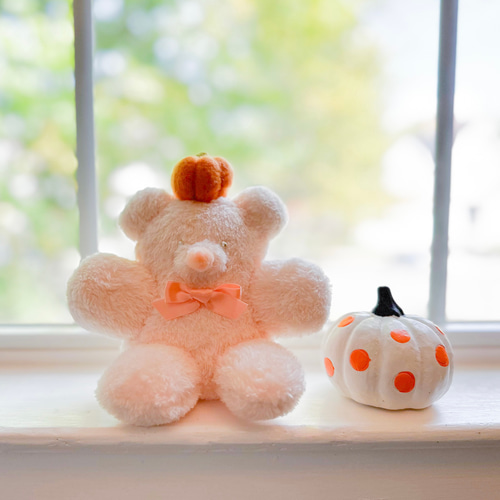 ハロウィン飾りにも｜かぼちゃくまさんのぬいぐるみ｜秋のおともだち