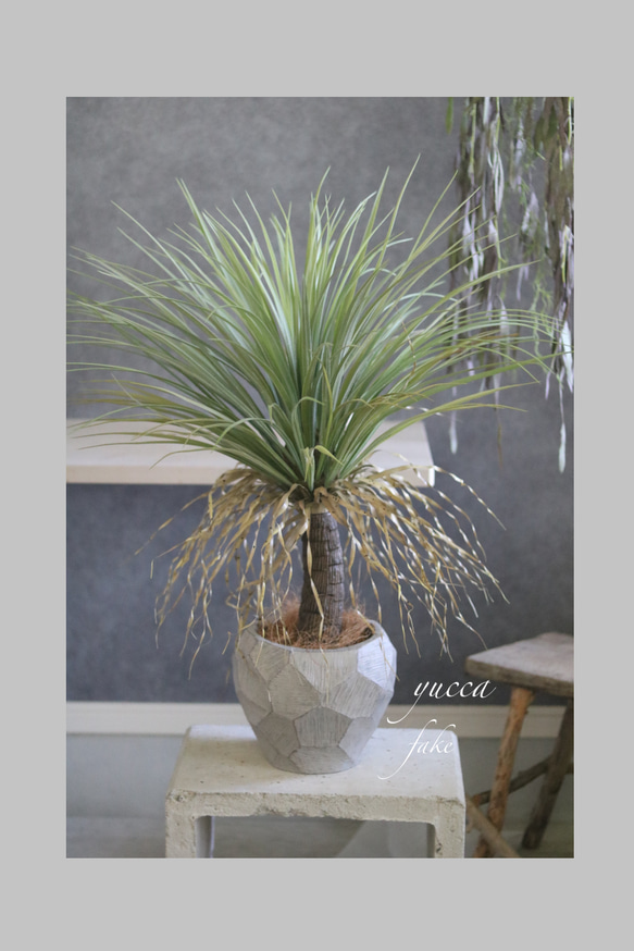 ドライガーデン好き❁⃘*.゜お世話いらずの枯れないユッカフェイク➕鉢カバー付き❁⃘ ドライガーデン好き??*.゜お世話いらずの枯れないユッカフェイク?鉢