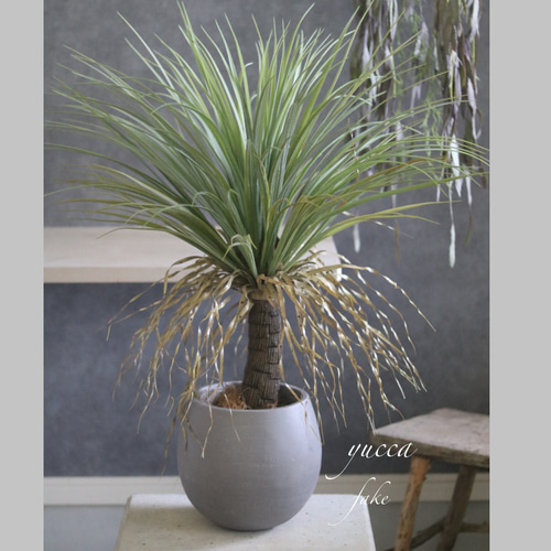 ★ユッカ★フェイク ☆ドライガーデン好き ☆ユッカ☆フェイク ☆ドライガーデン好き - メルカリ