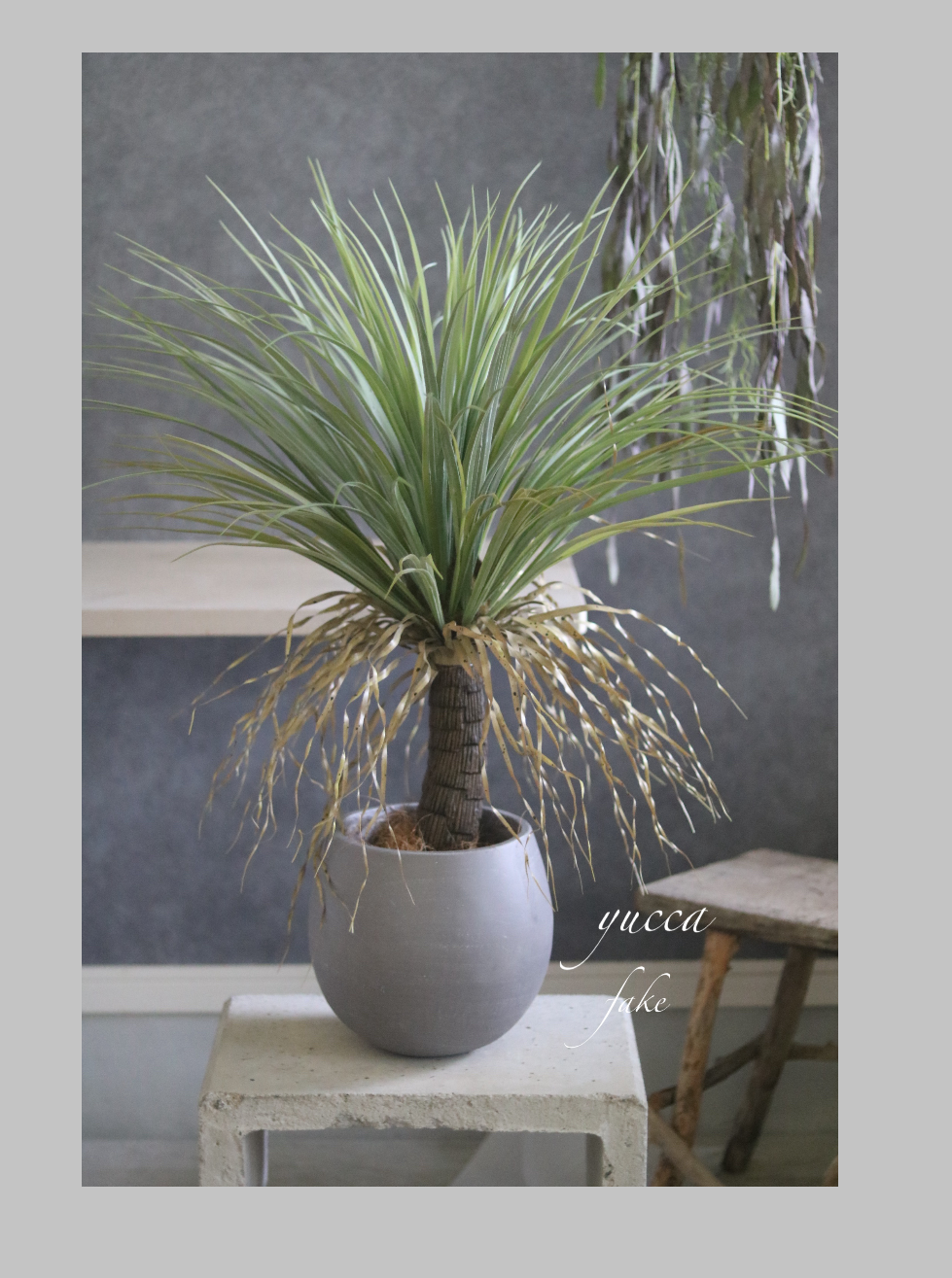 ドライガーデン好き❁⃘*.ﾟお世話いらずの枯れないユッカフェイク  新築祝 開店祝 誕生日プレゼント