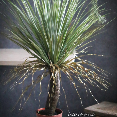 ドライガーデン好き❁⃘*.゜お世話いらずの枯れないユッカフェイク➕鉢カバー付き❁⃘ ドライガーデン好き❁⃘*.ﾟお世話いらずの枯れないユッカ