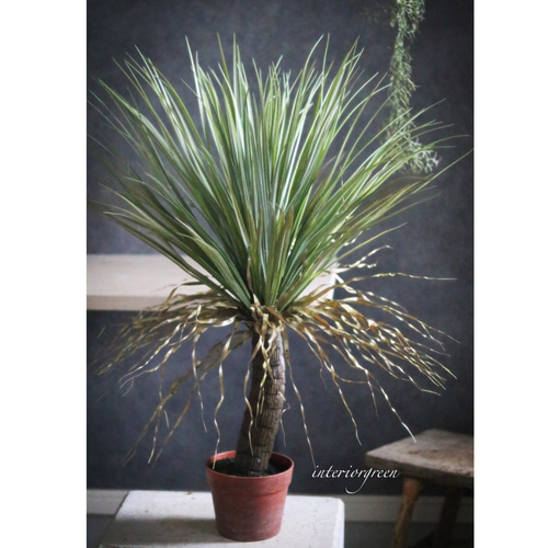 ドライガーデン好き❁⃘*.゜お世話いらずの枯れないユッカフェイク➕鉢カバー付き❁⃘ ドライガーデン好き❁⃘*.ﾟお世話いらずの枯れないユッカ