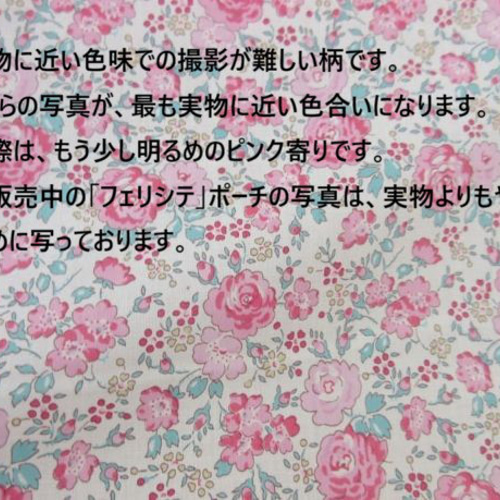 仕切り付きXS L字ファスナー クリアポーチ フェリシテ リバティ