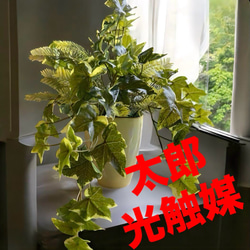 光触媒　人工観葉植物　ウォールグリーン　フェイク　フラワー　欅ケヤキ180 光触媒 人工観葉植物 ウォールグリーン フェイクグリーン 壁掛け