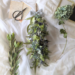 特集掲載】Lavender and eucalyptusラベンダーとユーカリの