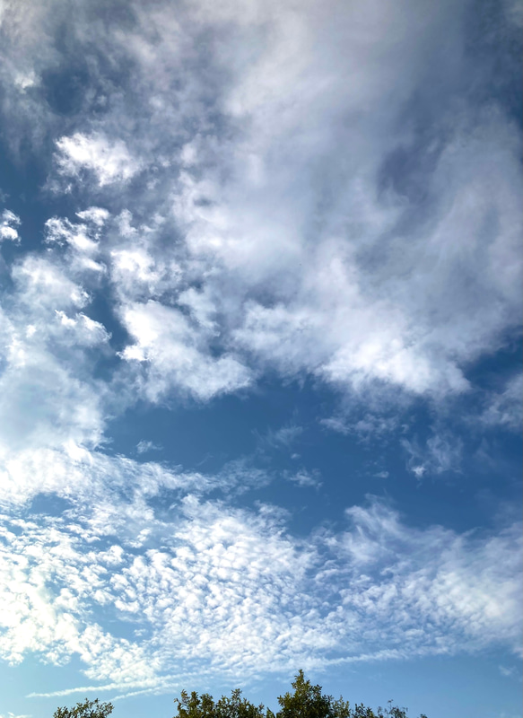 カラー追加代金 1枚目の画像