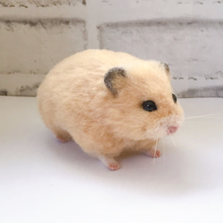 b960375a2968569ed636c3d68b9b83