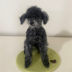 羊毛フェルト オーダー 犬 ペット イヌ 鳥 KIIKO 羊毛フェルト KIIKO