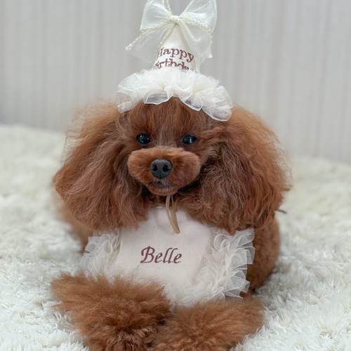 ペット用うちの子お名前スタイハンドメイド♡ ペット選べる3色名入れフリルスタイ》うちの子記念日 誕生日