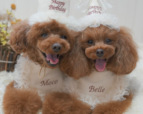 eda1188166371949205959bc647a4c