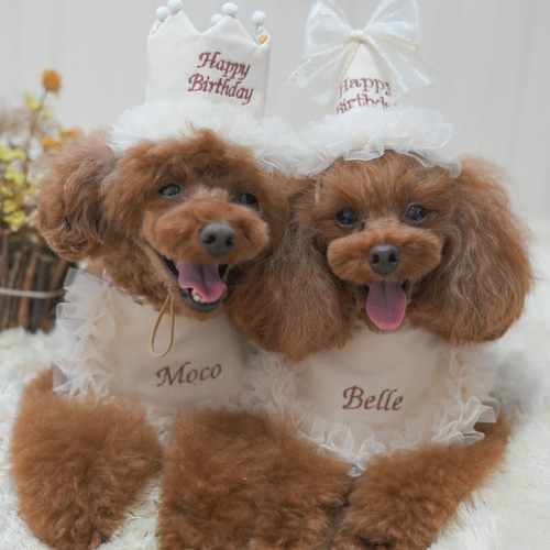 ペット選べる3色名入れフリルスタイ》うちの子記念日 誕生日