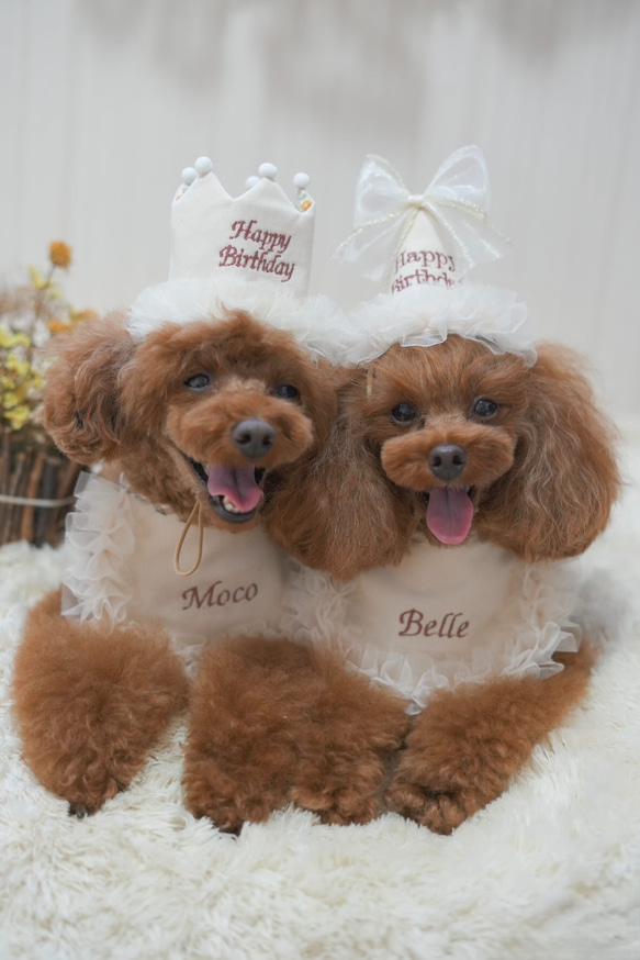 ペット選べる3色名入れフリルスタイ》うちの子記念日 誕生日 うちのこ