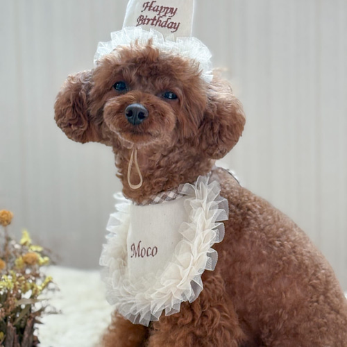 ペット選べる3色名入れフリルスタイ》うちの子記念日 誕生日 うちのこ